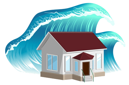 Capital Alarm Home Protection - Flood Protection